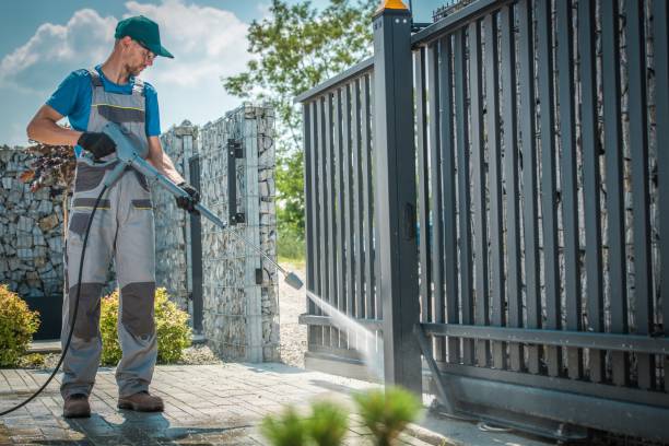 Best Spring Cleaning  in New Tazewell, TN