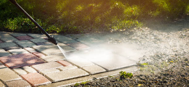 Reliable New Tazewell, TN  Pressure Washing Services Solutions